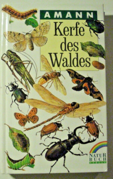 Kerfe des Waldes von Amann